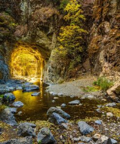 Nikon Z7 Full-Frame Mirrorless Interchangeable Lens Camera with 45.7MP Resolution, Body, Black, 1591 Body Only Base 49 A1cSLF3n1wL