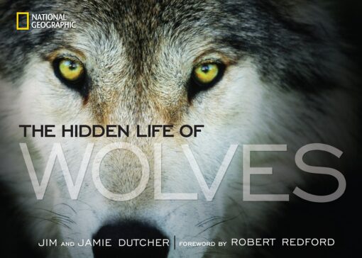 Hidden Life of Wolves, The Hardcover, Illustrated