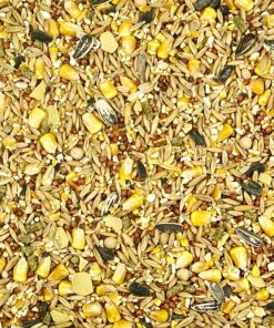 Kaytee Backyard Wildlife Food Blend For Wild Squirrels, Chipmunks, Rabbits and Other Backyard Wildlife, 5 Pound 5 Pound (Pack of 1) 24 A1dy8hcR pL