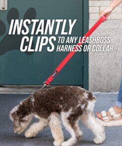 Leashboss Short Dog Leash for Dog Training | Padded Traffic Handle Short Leash for Dog Training, Total Comfort When Dog Walking | Traffic Leash for Dogs Large, Medium, Small | Short Nylon Dog Lead 12 Inch Black/Red/Grey 32 A1evBm IxoL 1