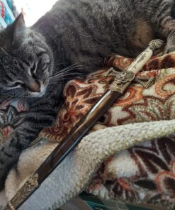 Whetstone Cutlery Medieval Double Edged Stainless Steel Dagger, Brass 25 A1f1ifk4ccL