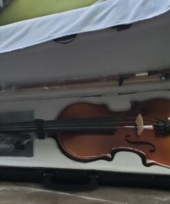 SKY 4/4 Full Size SKYVN201 Solid Maple Wood Violin with High Quality Lightweight Case, Brazilwood Bow, String, Rosin and Mute 41 A1f5va1uJ1L