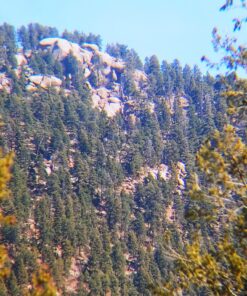 Vortex Optics Solo Monocular 10x36 40 A1fyhKHm7OL