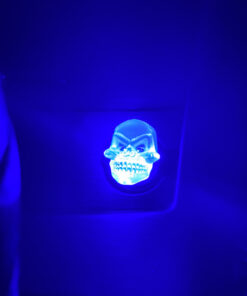 Custom Accessories 16500 Skull Dash Glow Light , White 17 A1gC3gkFXL