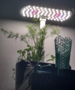 AeroGarden Salsa Garden Seed Pod Kit, 7 35 A1giZLIlnaL