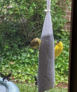 Wild Delight Pink Finch Sock w/ Nyjer Seed, 13 oz 7 A1hUSfCAhL