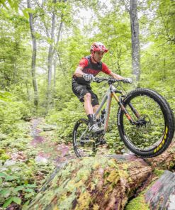 NoTubes Stan's Tubeless Road Valve Stem - Rectangular Stopper Single 14 A1iFqNLHyS