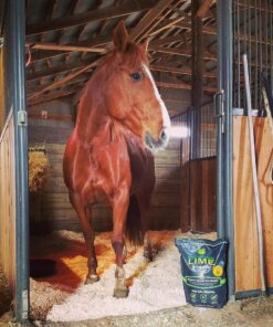 First Saturday Lime for Insects 20lb 23 A1ix18iwIIL