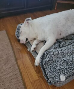 Evercare Extra Sticky Pet Lint Roller Refill 60 Sheets, 6-Pack 17 A1jVsZgpOkL