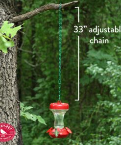 Perky-Pet 65 Hanging Chain for Bird Feeder, 33-Inch 14 A1k0ZR5sHCS