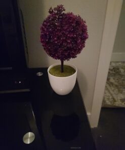 MyGift Tabletop Artificial Topiary Indoor Decor, Fake Plants Faux Purple Boxwood Ball Tree with White Planter Pots, Set of 2 23 A1kOU1VHTvL