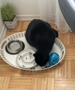 PetSafe Cat Egg-Cersizer Interactive Toy and Meal Dispenser, Use with Food or Treats - PTY00-13747,Blues & Purples Pack of 1 23 A1ktA4F xuL 1