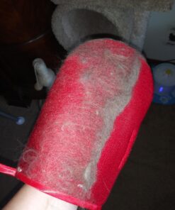 CleanAide Hair Magnet Pet Fur Removal and Lint Debris Cleanup Pick it up Mitt, Red, Pack of 2 19 A1lD019zsuL