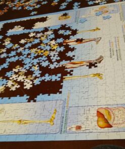EuroGraphics Human Body Puzzle (1000-Piece) 7 A1mEixlJkGL