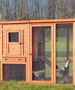 TRIXIE Pet Products Chicken Coop with Outdoor Run, 66.75 x 30.25 x 41.25 inches 66.8"L x 30.3"W x 41.3"H 37 A1mbhWTLwCL