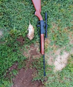 Daisy 880 Air Rifle with Scope, Brown, 177 Caliber .177 Starter Pack 23 A1nQY8lwWTL