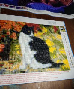 Tombow 52180 MONO Aqua Liquid Glue, 1.69 Ounce, 1-Pack. Dual Tip Dispenser for Precise to Full Coverage Application that Dries Clear Original Version 40 A1oI8w6vd2L