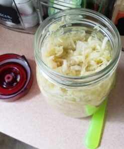 Fermenting Lids for wide mouth mason jars. 4 waterless airlock fermentation lids kit. Easy Grip fermenter lid with Oxygen Pump automatically Vents air. Tracks ferment date. (4 Lids + Pump) 43 A1opG1wWQ7L