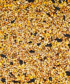 Kaytee Wild Bird American Blend Seed Cake, 2.3 Pounds 5 A1p68nlkCWL