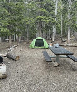 Clostnature Lightweight Backpacking Tent - 3 Season Ultralight Waterproof Camping Tent, Large Size Easy Setup Tent for Family, Outdoor, Hiking and Mountaineering Green 2 Person 33 A1pEZGRs4L