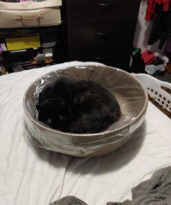 Petmate Booda Dome Cat Litter Box for Indoor Cats , Titanium, Made in USA One Size 43 A1pWlZw zeL