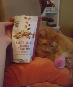 Wickedly Prime Organic Sprouted Trail Mix, Fruits, Seeds & Nuts, 10.5 Ounce 10.5 Ounce (Pack of 1) 16 A1qXuoe1EL