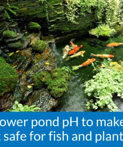API POND pH DOWN Pond Water pH Reducing Solution 16-Ounce Bottle, White, Model:170B 10 A1r0ldZkwWL