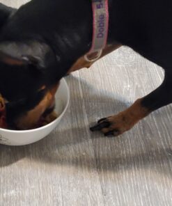 Purina Moist & Meaty Rise & Shine Awaken Bacon & Egg Flavor Adult Wet Dog Food - 12 Ct. Pouches 12 Count (Pack of 6) 3 A1sO0v9vNTL