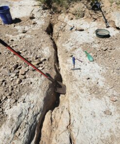 SE Green Prospector's Scoop - 12.5" Heavy-Duty Plastic Tool for Metal Detecting, Gold Panning, Treasure Hunting, and Gardening 17 A1stj aB0wL