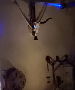 Long Horn Cow Skull Wall Hanging Longhorn Steer 33 A1syxXrCMnL