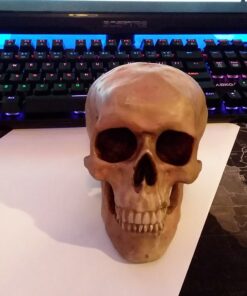 Grinning Highly Realistic Replica Human Skull Statue Home Décor 6.5x4.25x4.6" 51 A1toeUHiJ5L