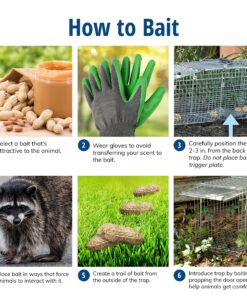 Havahart 1079SR Large 1-Door Humane Catch and Release Live Animal Trap for Raccoons, Cats, Bobcats, Beavers, Small Dogs, Groundhogs, Opossums, Foxes, Armadillos, and Similar-Sized Animals 29 A1vKo1So3KL