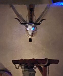 Long Horn Cow Skull Wall Hanging Longhorn Steer 34 A1vzgr77u9L