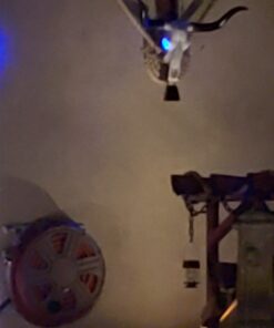 Long Horn Cow Skull Wall Hanging Longhorn Steer 35 A1wM9HQVYcL