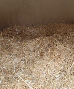 Standlee Hay Company Wheat or Barley Chopped Straw for Animal Bedding 19 A1wN4ajl8SL