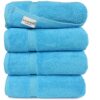 SALBAKOS Premium Bath Towels Set - 100% Turkish Cotton Hotel & Spa Bath Towels, Ultra Soft, Quick Drying & Highly Absorbent, 700 GSM Luxury Towels Collection | 27"x54" (Aqua, Set of 4) 4 Bath Towels Aqua