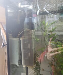 SunSun JUP-01 9W UV Sterilizer Submersible Filter Pump 61 A1wnYo9PM4L