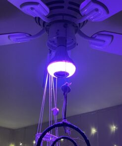 Texsens LED Light Bulb Bluetooth Speaker, 6W E26 RGB Changing Lamp Wireless Stereo Audio with 24 Keys Remote Control 33 A1wzSqjNL