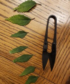 Bonsai Pruning Scissors 5 PCS, Small Pruner Shears, Bud Leaves Trimmer, Garden Shears for Plants, Gardening Clippers for Flower, Stainless Steel Bud and Bonsai Trimming Pruners Trimmers 26 A1x0HxVgOHL