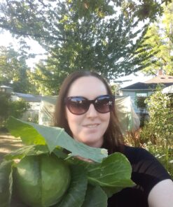 Cabbage Seed, Golden Acre, Heirloom, Non GMO, 25 Seeds, Tasty Healthy Veggie 9 A1xTRCl6eIL