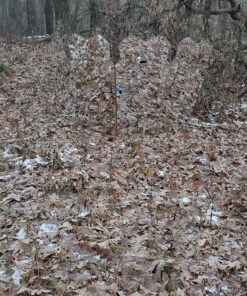 GhostBlind 4-Panel Predator Blind, Silver 49 A1xYbvMNGL