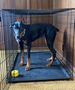 MidWest Homes for Pets Newly Enhanced Single Door iCrate Dog Crate, Includes Leak-Proof Pan, Floor Protecting Feet, Divider Panel & New Patented Features iCrate; Single Door 48.0"L x 30.0"W x 33.0"H 42 A1xqM1rikL