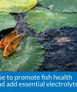 API POND SALT Pond Water Salt 4.4-Pound Container (156C) 1 11 A1ymkMjCplL 1