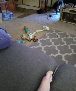 Booda Fresh N Floss 3 Knot Tug Rope Dog Toy, X-Large, Spearmint 33 A1z2cah iRL