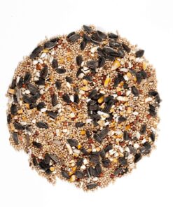 Wagner's 62008 Western Regional Blend Wild Bird Food, 20-Pound Bag 15 A1zGEg x81L