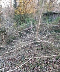 8" x 80T 8-Inch 80 Tooth Carbide Tip Circular Saw Brush Cutter Trimmer Weed Eater Blade (2 Pack) 40 B1 HR05R0WS