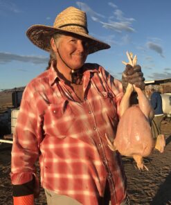 Kitchener Chicken Plucker De-Feather Remover Poultry and Fowl Food Processor Electric Stainless Steel Heavy Duty 1HP 120VAC 280RPM GFCI Connector 92 Soft Fingers 20" Drum Diameter 32 B1 O4VOhB3S