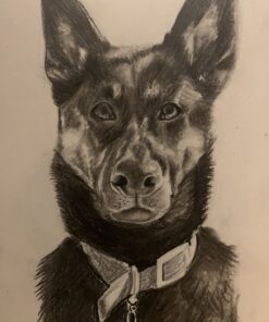 Castle Art Supplies Graphite Drawing Pencils and Sketch Set (40-Piece Kit), Complete Artist Kit Includes Charcoals, Pastels and Zippered Carry Case, Rare Pop-Up Stand 32 B1 rIQFNKmS