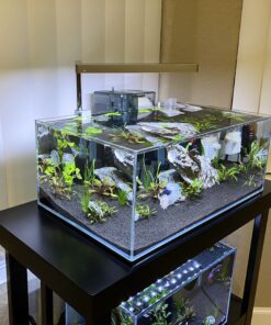 ONF Flat Nano Full Spectrum LED Aquarium Light, Dimmable 7000K / 1300lm, for <10 Gallons Rimless Fish Tanks, Freshwater Aquatic Plant Growth, Terrarium Spotlight, Potted Plant IP54 Waterproof (Silver) Silver 45 B1 yiCwKt1S