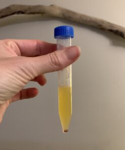 Bipee Plastic Centrifuge Tubes, 15ml, Conical Bottom, Graduated Marks, Blue Screw Cap, Pack of 100pcs 13 B1 ylCBxZUS